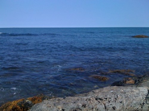 franciscobobes's profile picture. Albañil y pensador. Director de todo esto. Chemist. Proud Shareholder of Real Oviedo