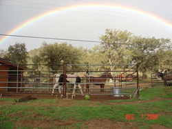 EROBOSS's profile picture. Wildfire Water Tender, Horse Rescue, Rescued Hap Magee's Western Collection, plan reopen cowboy museum,To Donate outakuntrol@aol.com