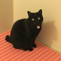 尚美 (@naomicla0520) 's Twitter Profile Photo