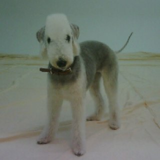 studio706soyun's profile picture. Photographer