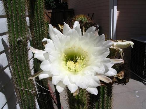 DJohn34065's profile picture. 