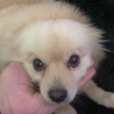 DXprivado's profile picture. meu privado só pra quem eu confio, se alguma coisa sair daqui eu apago