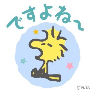 oskn_kwer's profile picture. #2018aug_baby と帰省に付き合わせるくせに土日の宿泊費をケチって私に平日の仕事をサボれとキレるヒステリック夫の家族（笑）