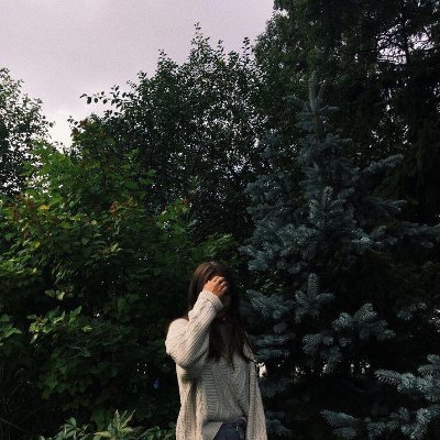 SofeaAlanaa's profile picture. 