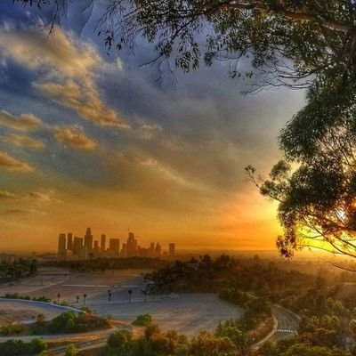 channelpro21's profile picture. 