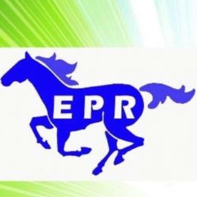 ElverraR's profile image