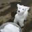 9masan's profile image
