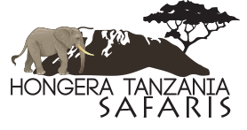 We are travel company registered in Tanzania. We specialize in both customized and tailor made tour packages to all safari destinations in Tanzania and Zanzibar