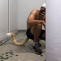 Alaric (@youqi_s) 's Twitter Profile