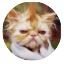 Someone (@ljumanec) Twitter profile photo Someone (@ljumanec) Twitter profile photo