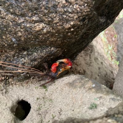 ツイッターはじめました！ 岡山で釣りしてます！気軽に絡んでください！