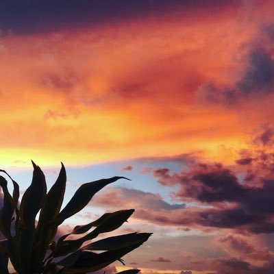 ColaVeggieg2017's profile picture. 