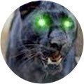 Unsocialeh 🐀 (@unsocialeh) 's Twitter Profile Photo Unsocialeh 🐀 (@unsocialeh) 's Twitter Profile Photo