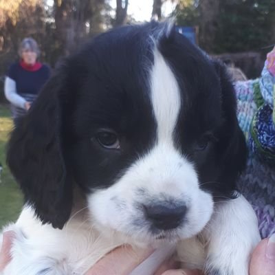 Jack01559824's profile picture. #Hello