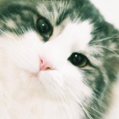 餅さんのプロフィール画像