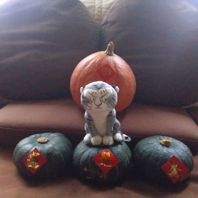 kSF3xrYAMIKG1I4's profile picture. 法律系財經組畢業。