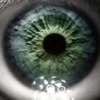 Lockinbarrels's profile picture. my eyes are broken therefore i wear glasses.