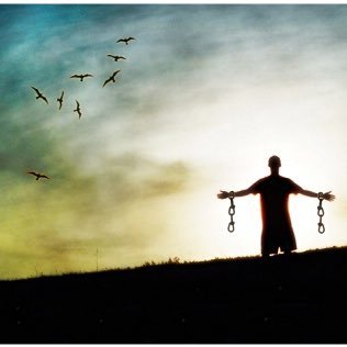 turteltaube_'s profile picture. Im Exil Leben: Verliere die Hoffnung nicht, das Leben geht weiter! Neuer Odenwälder.