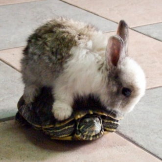 cec_english's profile picture. 안녕하세요^^