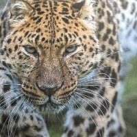 Nancy jordan (@nancyjo26317419) 's Twitter Profile Photo Nancy jordan (@nancyjo26317419) 's Twitter Profile Photo