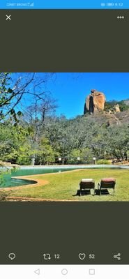 Malide53973817's profile picture. 