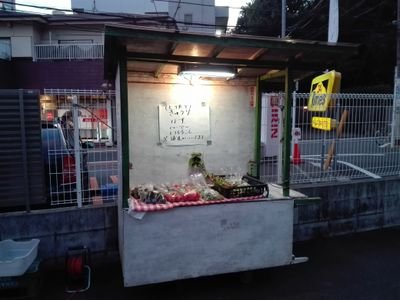 西武池袋線中村橋駅から北へ4分　タイムズ貫井2丁目の裏側で練馬産野菜を販売しています。営業日・時間は不定期です。Twitterで販売情報をお伝えします！