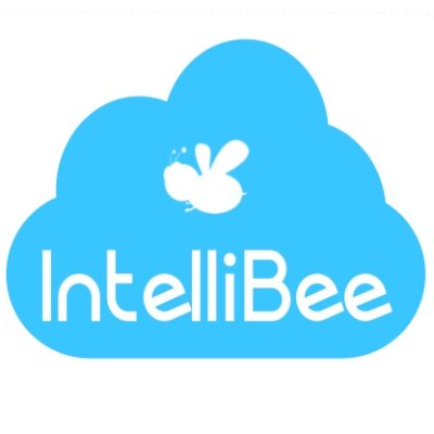 We translate your business problems into IT Solutions, globally.