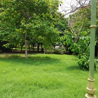 Shaileshway2fun's profile picture. Searching for fun always makes me run ;)