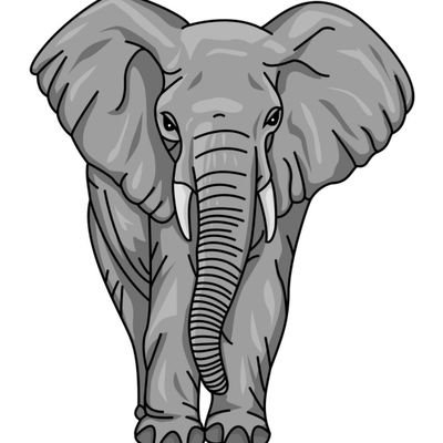 Elephantero's profile picture. ‏