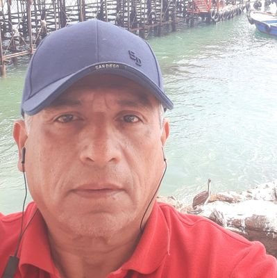 e278a0417cbe4f8's profile picture. 