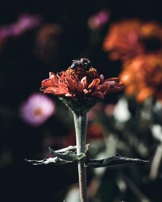 thinkdesign9's profile picture. 