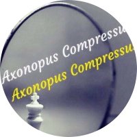 Axonopus Compressus (@axonopusc) 's Twitter Profile
