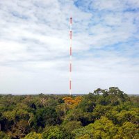 ATTO - Amazon Tall Tower Observatory(@ATTOresearch) 's Twitter Profile Photo