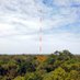 ATTO - Amazon Tall Tower Observatory (@ATTOresearch) Twitter profile photo