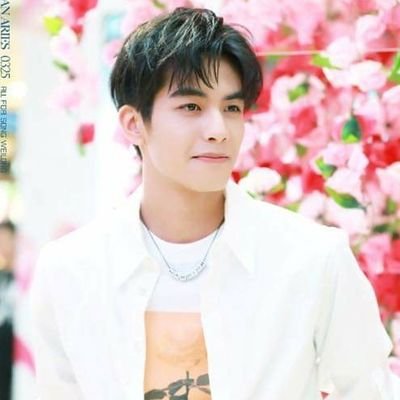 Tingchina1's profile picture. ♡เว่ยหลง
♡จางปินปิน