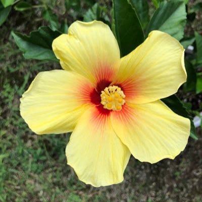 unDlecs2VImBp5y's profile picture. 