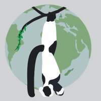 Madagascar Biodiversity Partnership (@mbpartnership) 's Twitter Profile