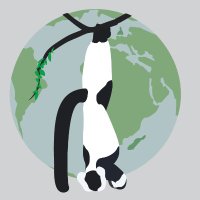 Madagascar Biodiversity Partnership(@MBPartnership) 's Twitter Profile Photo