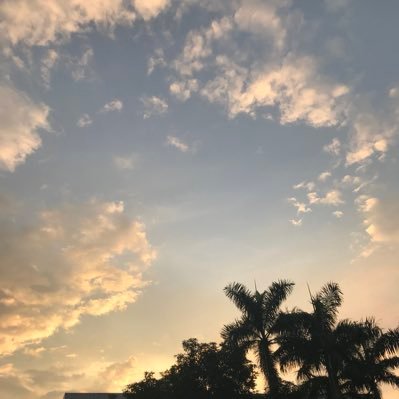 pomson99's profile picture. 