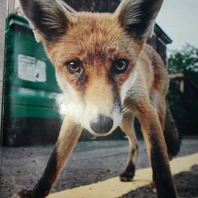 GerryStanding's profile picture. Self employed.