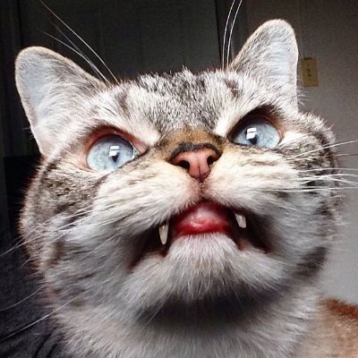 Rrahim_86's profile picture. 