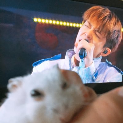 pcaa20's profile picture. 6人を愛してやまない 岸くんの全部がすき💜