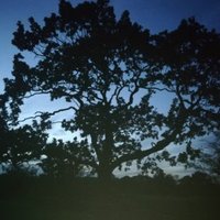 Andrea Fearnley (@andrea_fearnley) 's Twitter Profile