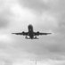 LGA_A320🚰 Profile picture