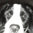 abbath's profile image