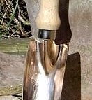 Jane Cobbald Profile