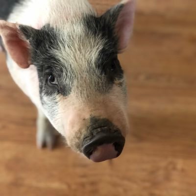 djin3d's profile picture. 