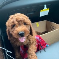 Gateway Stanley (@gatewaystanley) 's Twitter Profile