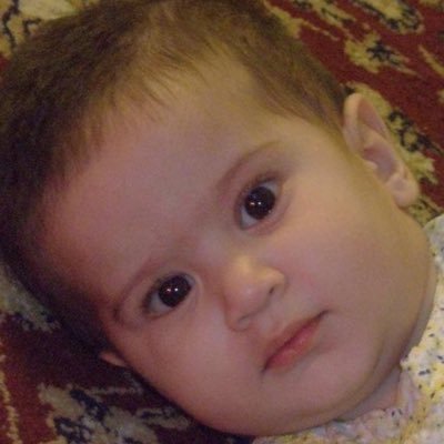 شکواہِ ظُلمتِ شب سے تو کہیں بہتر تھا
اپنے حصے کی کوئی شمع جلاتے جاتے