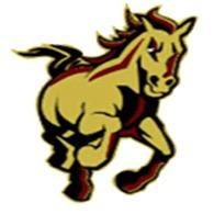 SRHS Student Council (@srhsstuco_) 's Twitter Profile